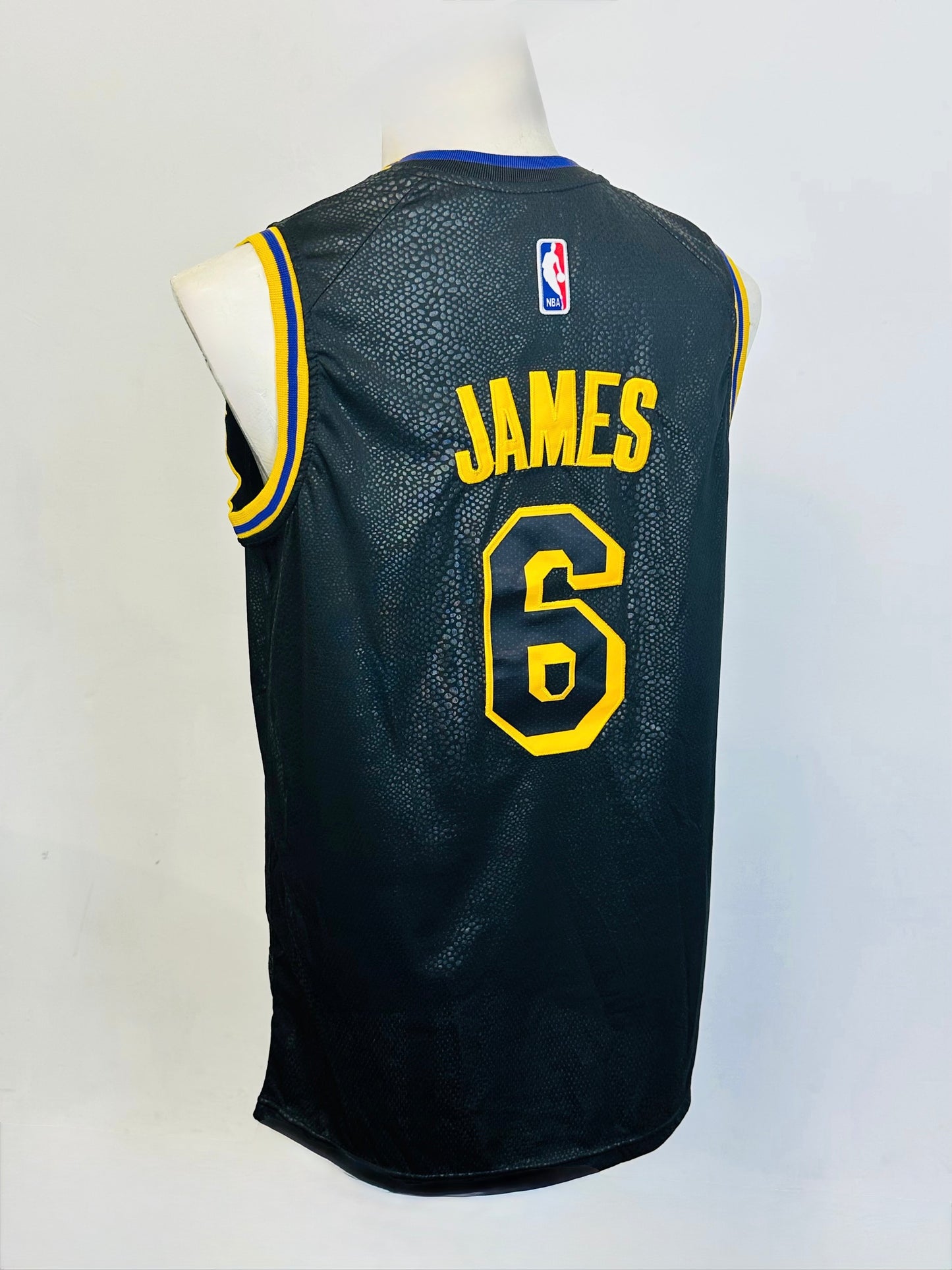 NIKE x NBA - Lakers LeBron James 6 Limited Edition 🐍