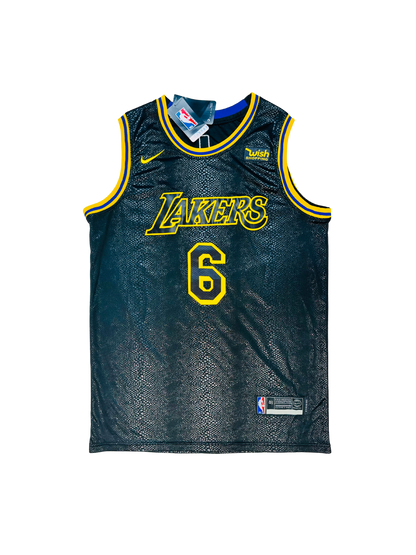 NIKE x NBA - Lakers LeBron James 6 Limited Edition 🐍