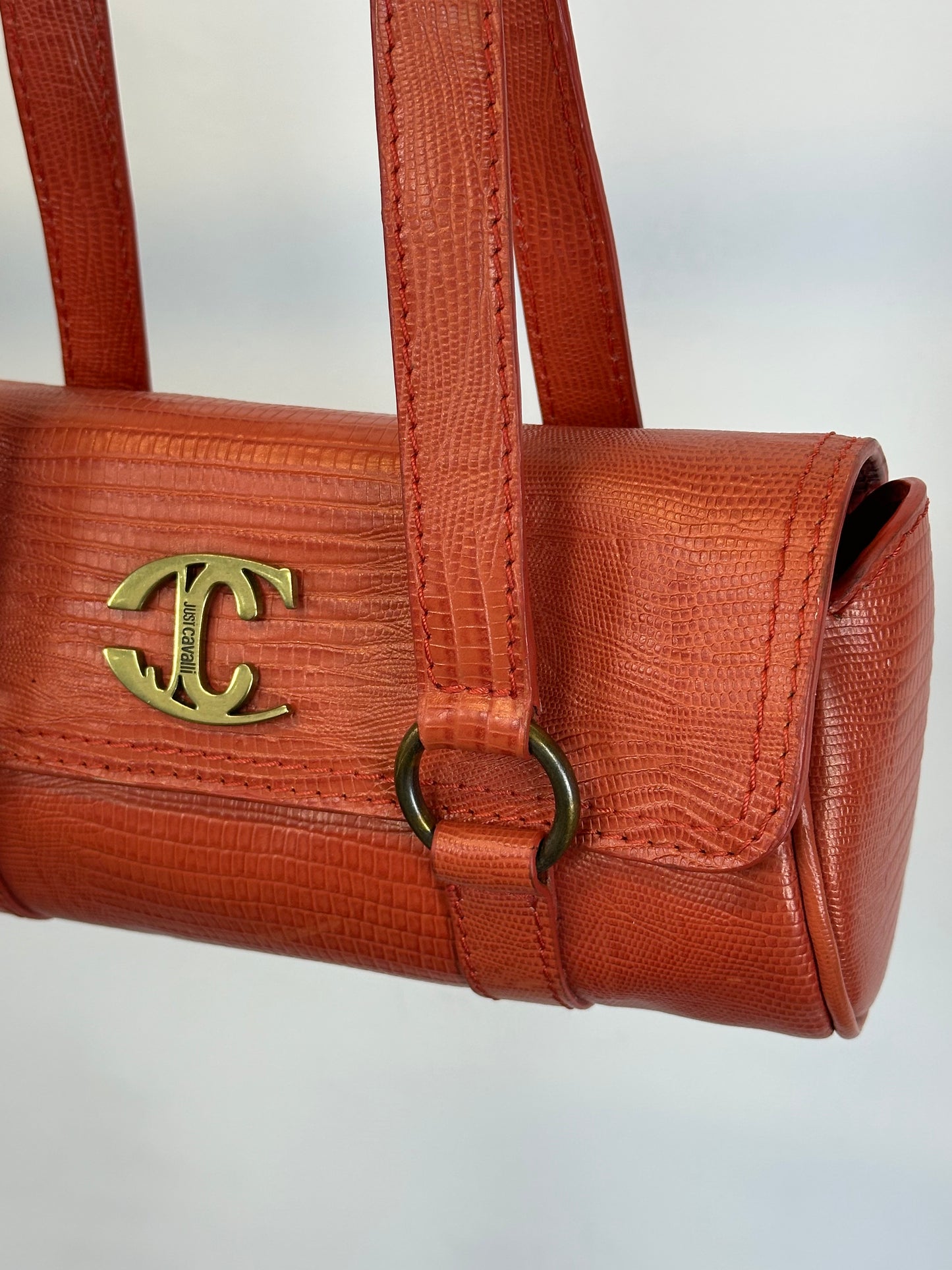 JUST CAVALLI  - Pochette a spalla Animalier 🐍