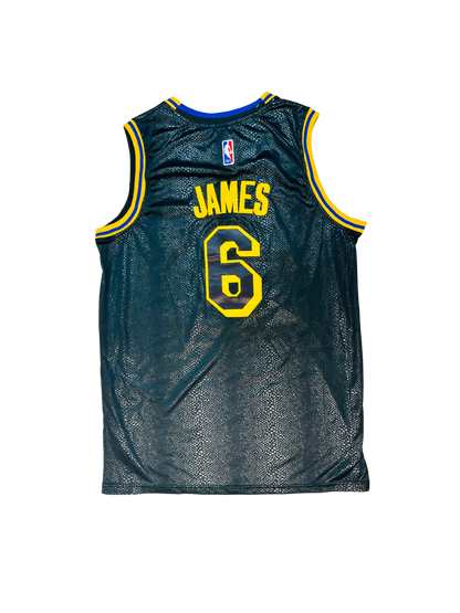 NIKE x NBA - Lakers LeBron James 6 Limited Edition 🐍