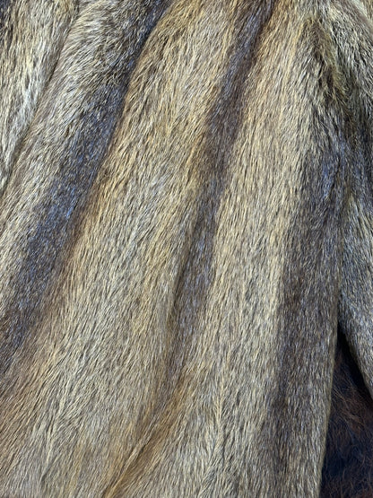 Pelliccia Castoro Miele