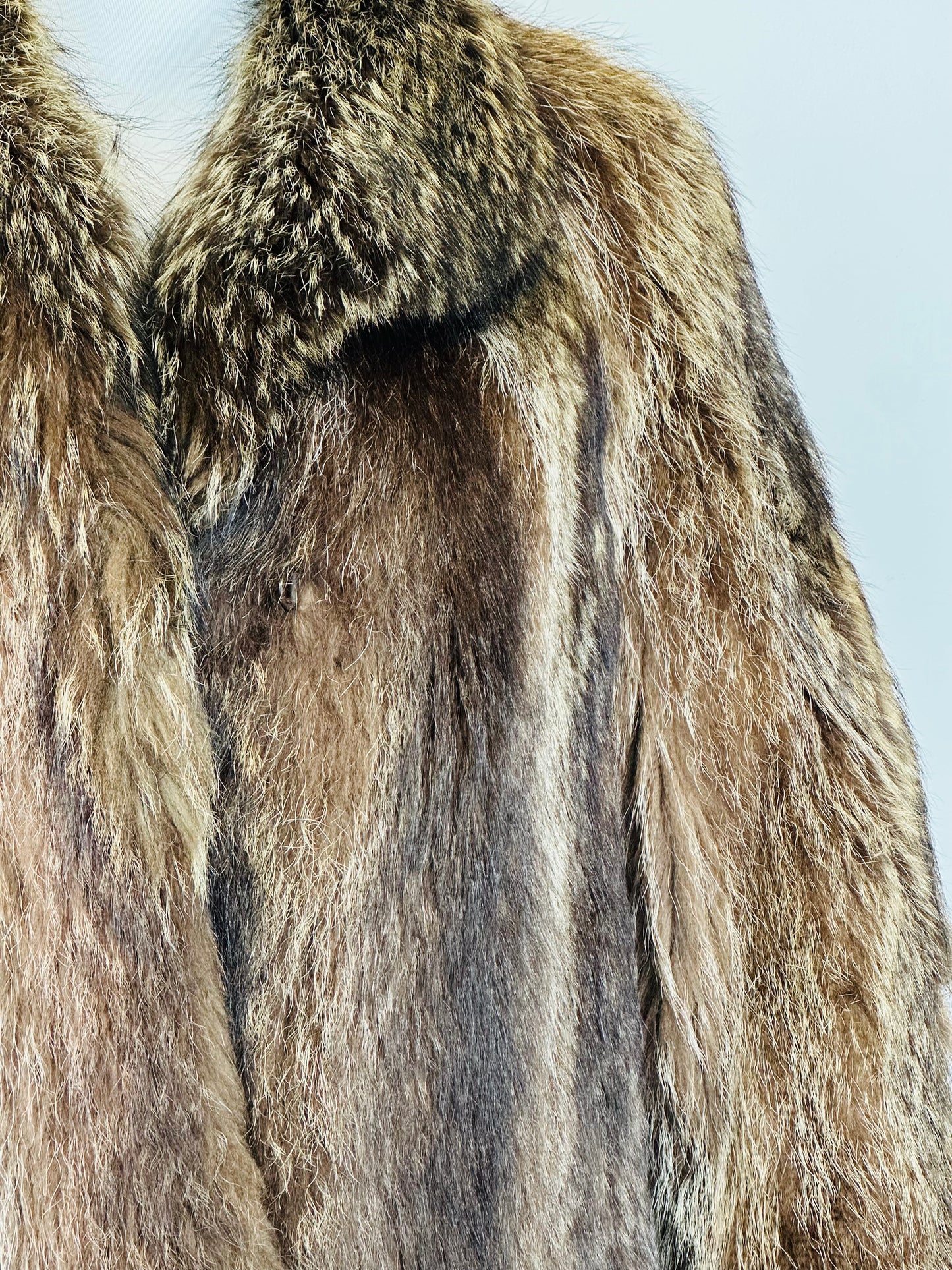 Pelliccia Marmotta