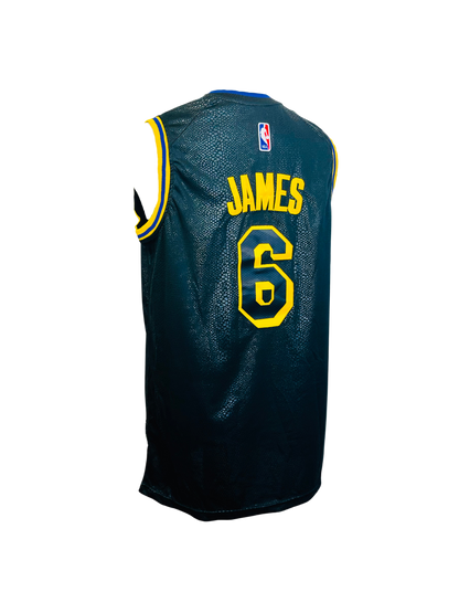 NIKE x NBA - Lakers LeBron James 6 Limited Edition 🐍