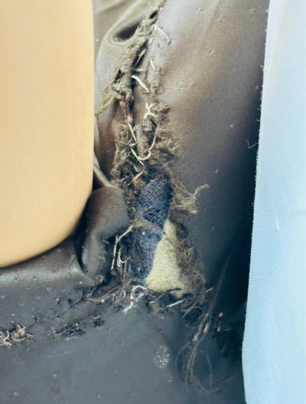 Pelliccia Marmotta