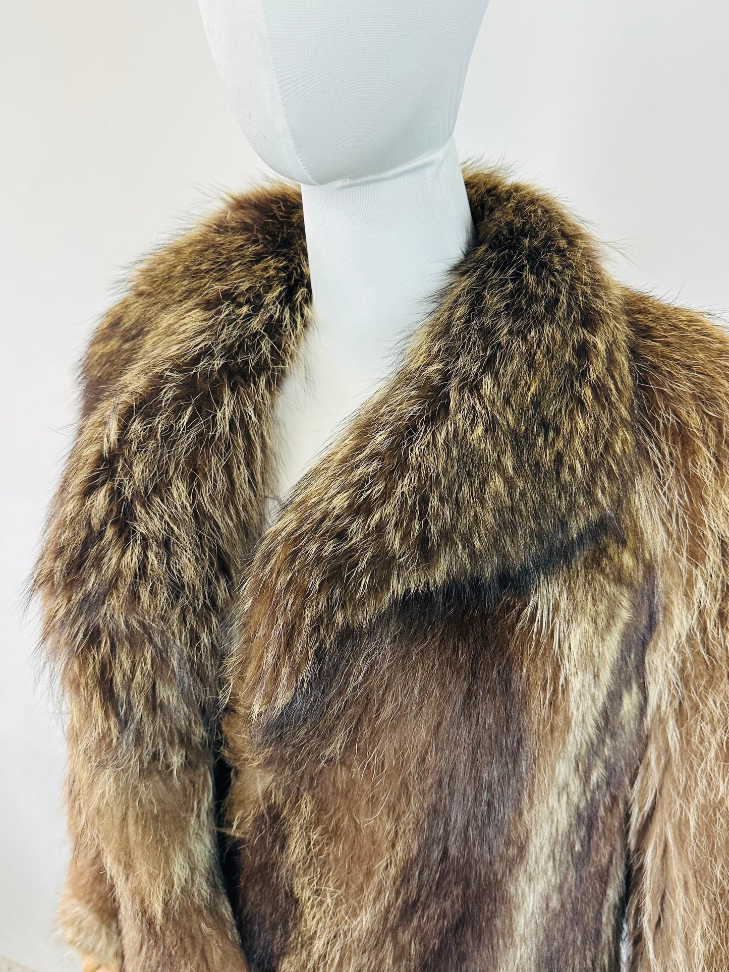 Pelliccia Marmotta