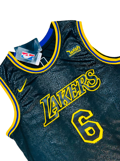 NIKE x NBA - Lakers LeBron James 6 Limited Edition 🐍
